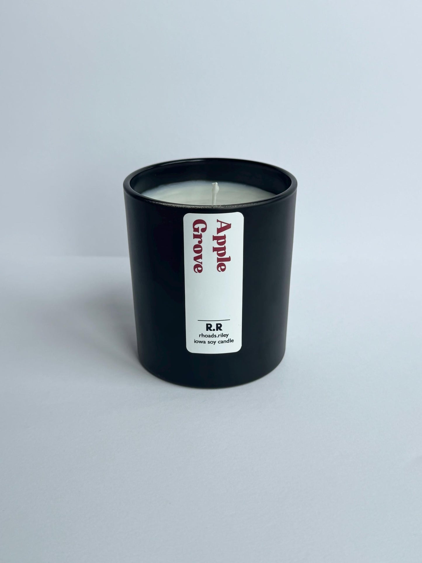 Apple Grove | Coconut Soy Wax | Eco Friendly Candles | Cozy Fall Candle | Autum Candle