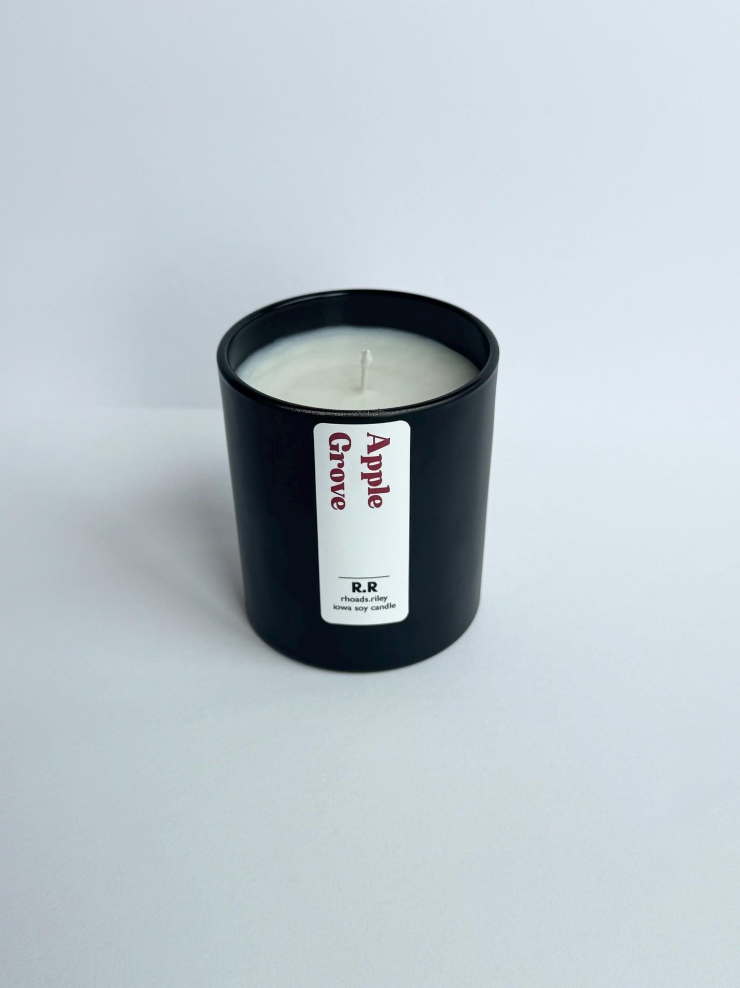 Apple Grove | Coconut Soy Wax | Eco Friendly Candles | Cozy Fall Candle | Autum Candle