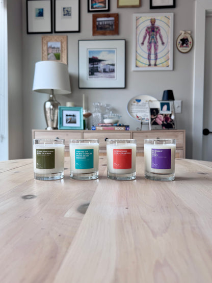 11 oz Soy Candle - Hunger Games 2026: Health Care - Colorful